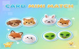 Card Mini Match